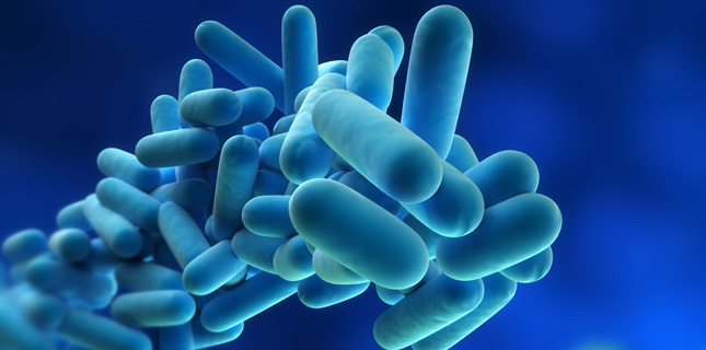 Legionella case shows preventative measures are vital image