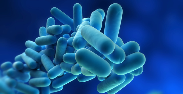 Legionella risk assessments increase in rented properties, says APHC image
