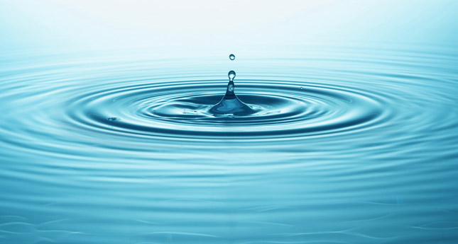 APHC raises awareness of water efficiency following heatwave   image