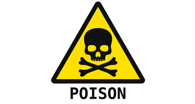 Gas Safety Trust to fund CO poisoning study image