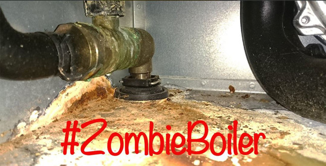 Wolseley Plumb Center announces top Zombie Boiler hunter image