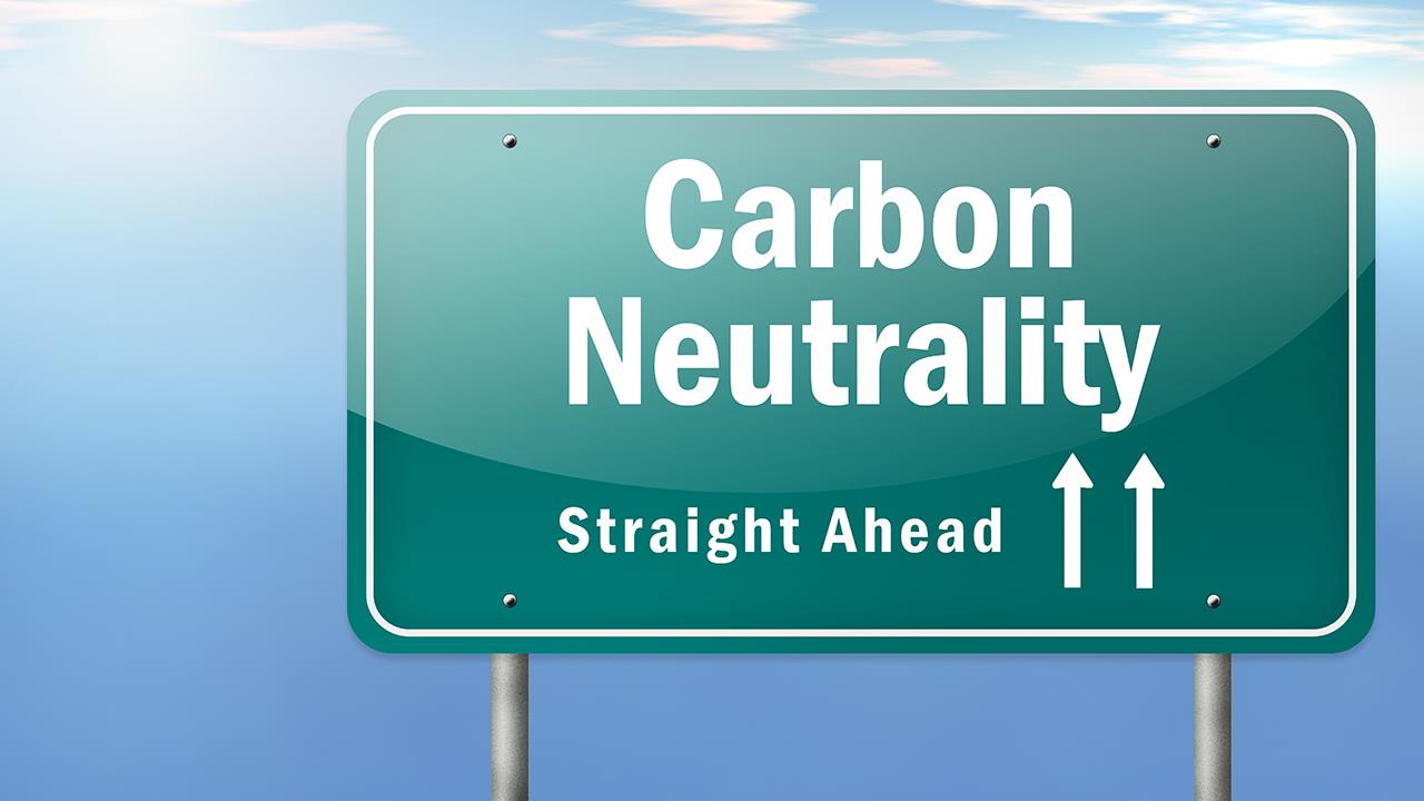 How differing routes to net-zero carbon could sow confusion image