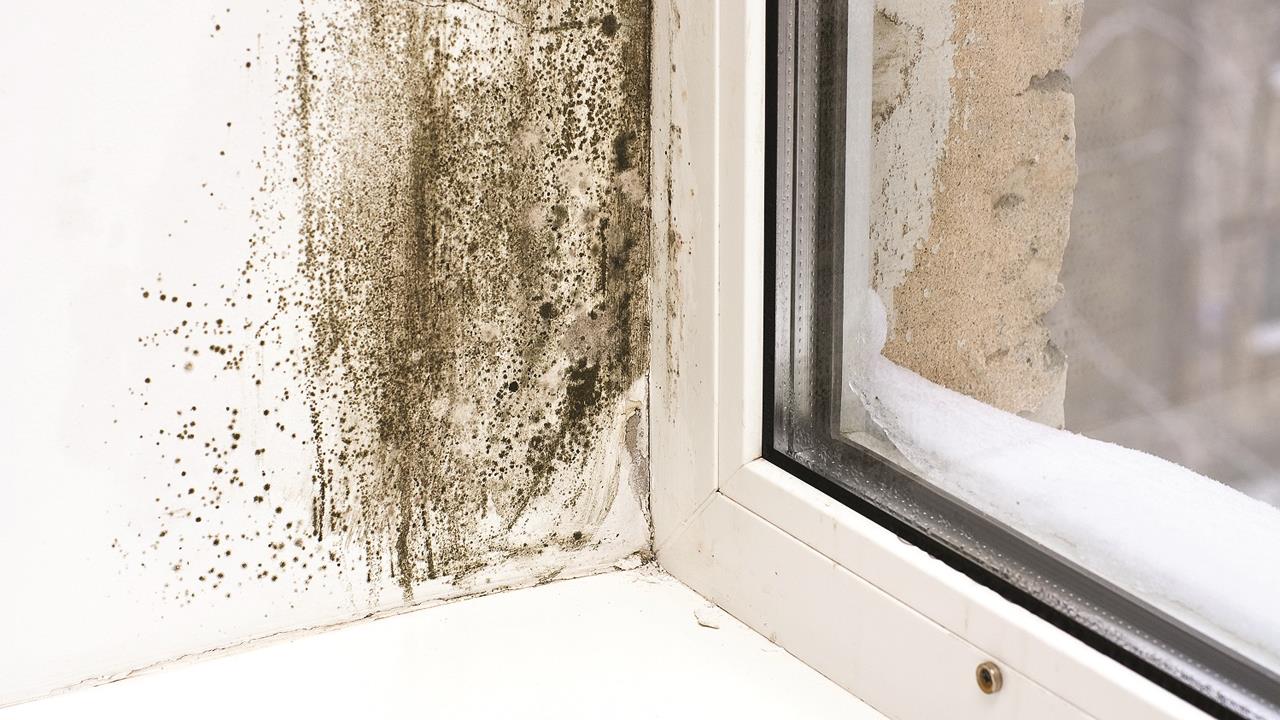 Elta Fans explains how installers can help landlords solve condensation and damp issues image