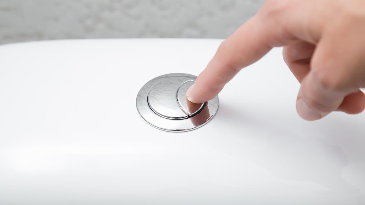 Toilet manufacturers called on to rethink dual flush buttons image