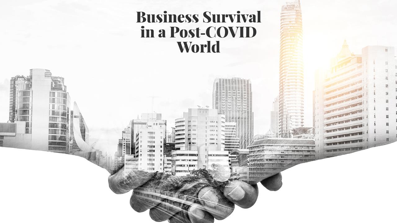 SFP launches guide to business survival image