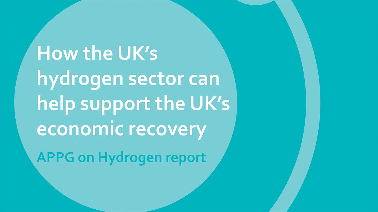 Hydrogen parliamentary group details recommendations for government image
