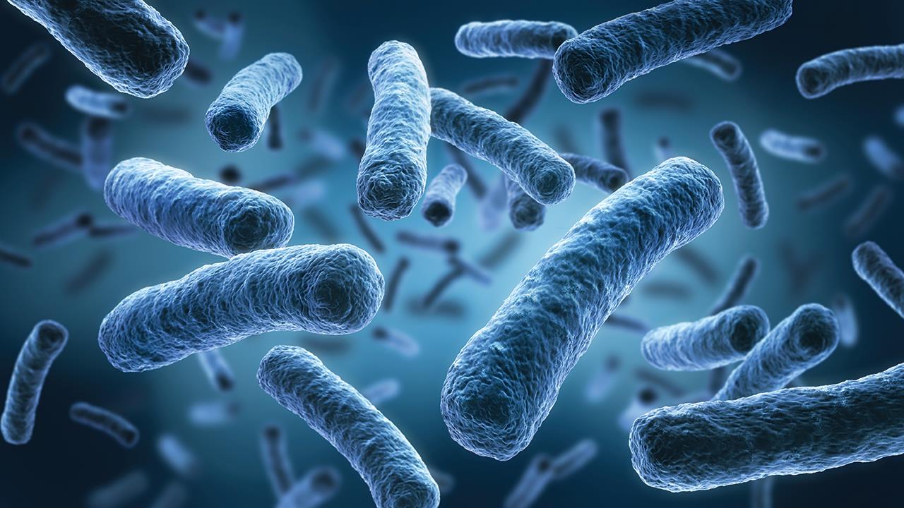 The importance of understanding Legionella image