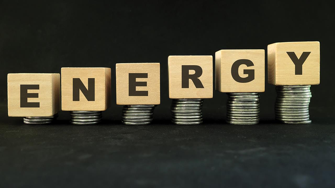 Assessing ways for government to combat the energy crisis image
