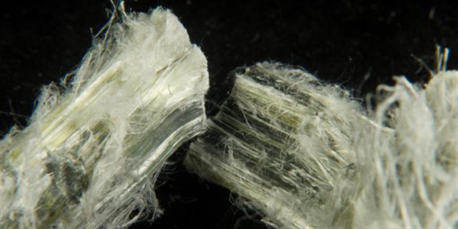 Trader given suspended jail sentence for asbestos exposure image