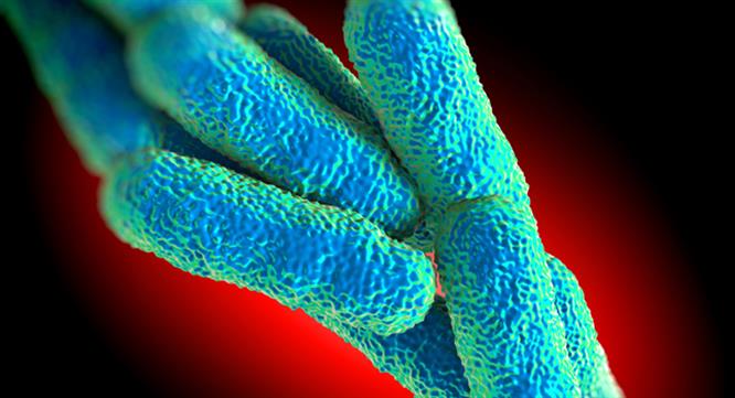 Landlords being asked to supply Legionella certificate in error, CIPHE warns image