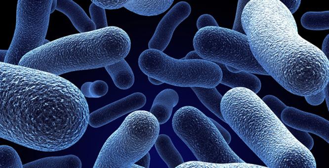 CIPHE warns of rise in Legionnaires’ cases image
