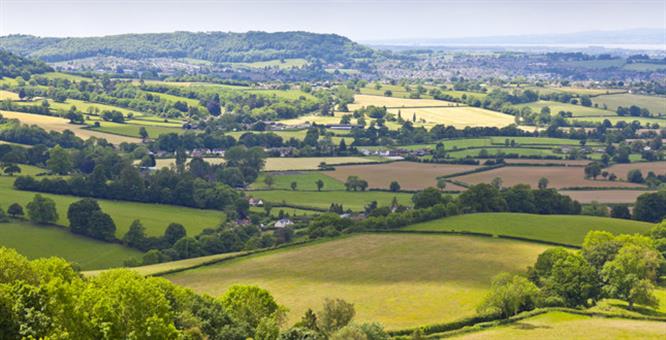OFTEC says new ECO3 proposals discriminate against rural households  image