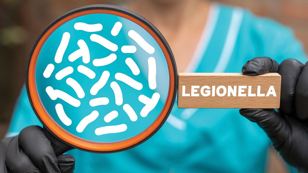 What installers need to know about Legionella image