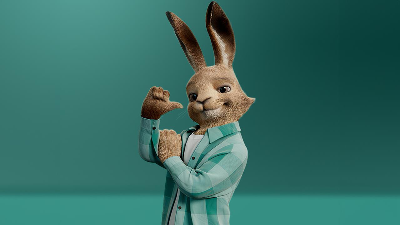 Vaillant launches consumer marketing campaign featuring hare mascot image